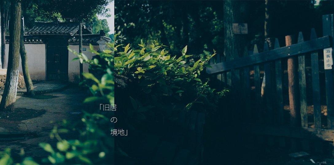 全民烧脑3去广告版